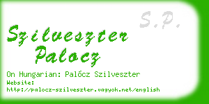 szilveszter palocz business card