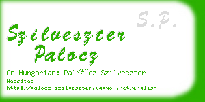 szilveszter palocz business card